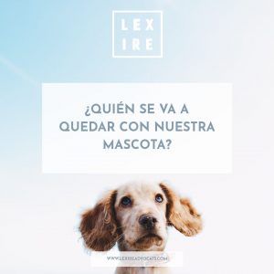 Quién se va a quedar con nuestra mascota