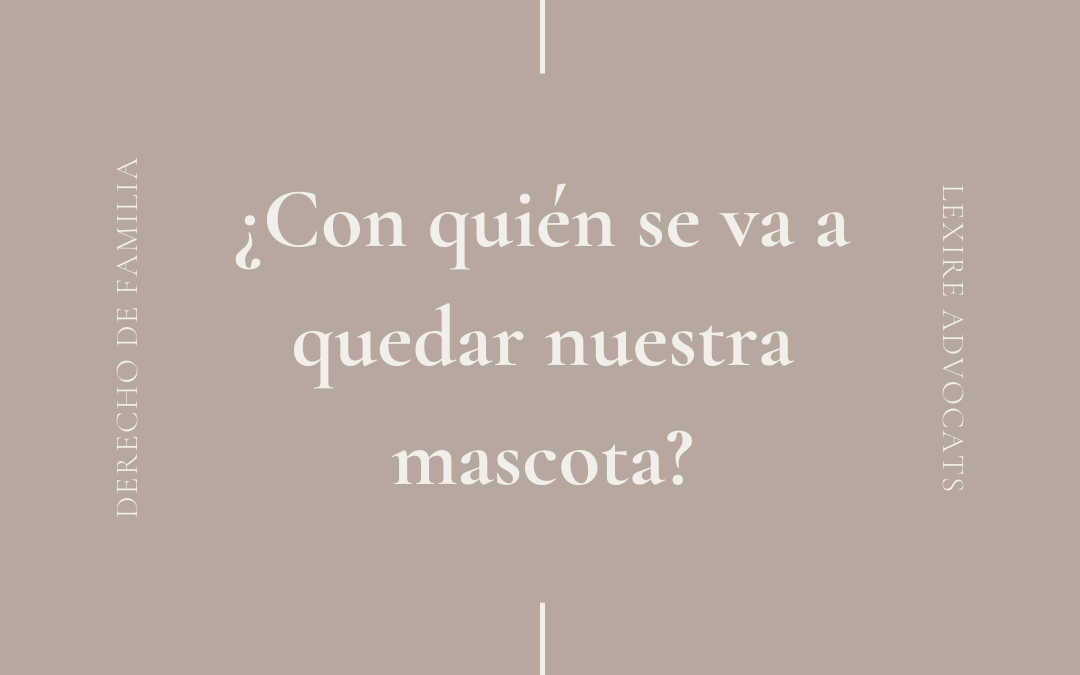 ¿Quién se va a quedar con nuestra mascota?