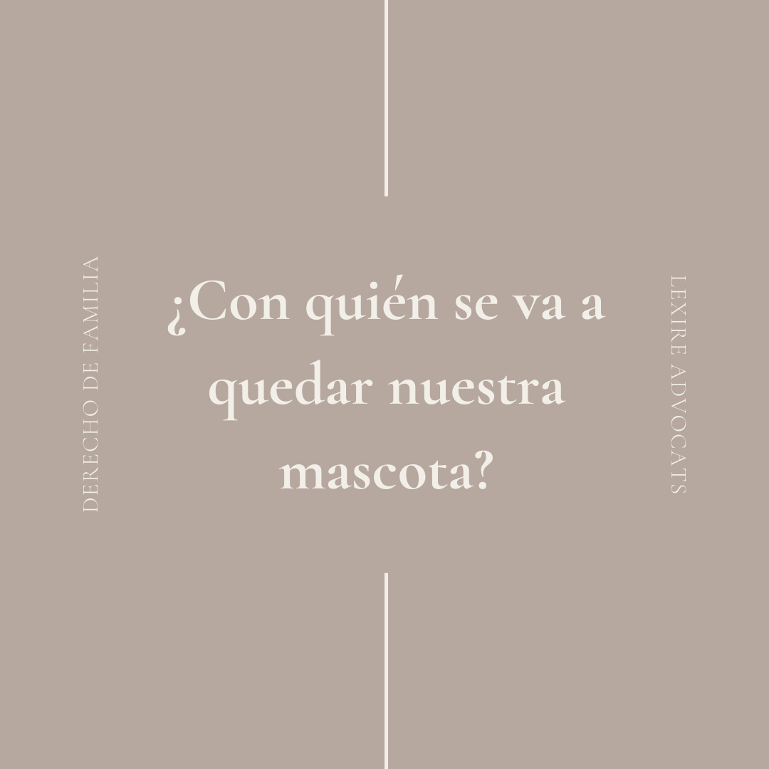 Quién se va a quedar con nuestra mascota